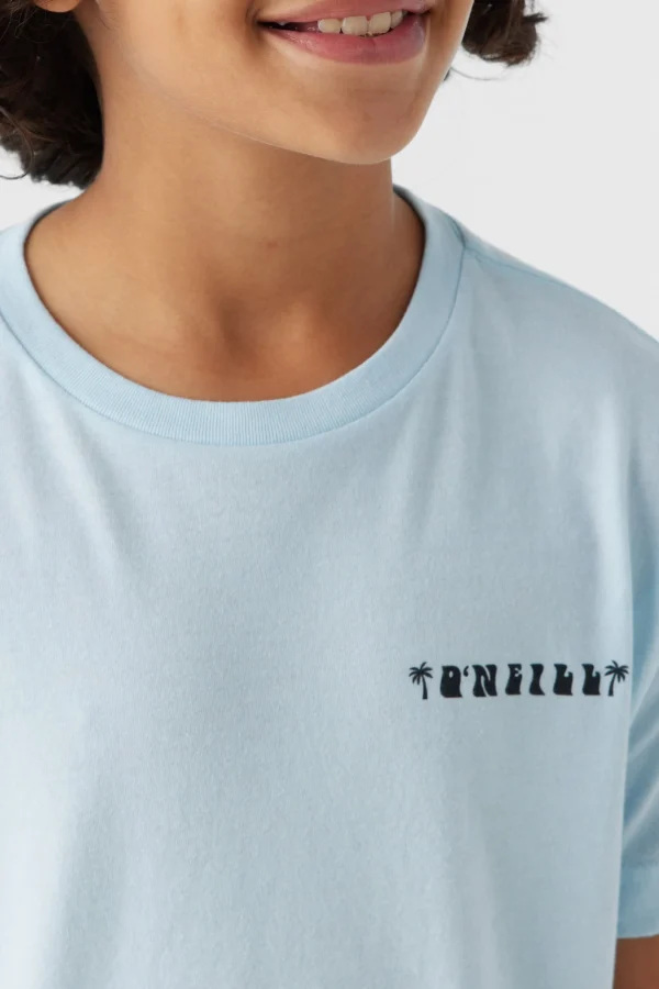 O’Neill Tops^BOY'S EL JEFE TEE SKY BLUE HEATHER