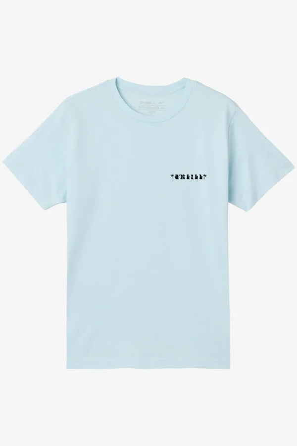 O’Neill Tops^BOY'S EL JEFE TEE SKY BLUE HEATHER