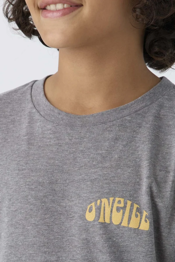 O’Neill Tops^BOY'S THRILLS TEE HEATHER GREY