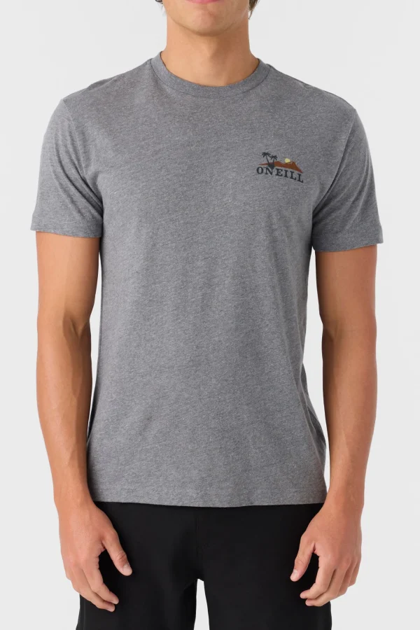 O’Neill Tees^DOS HERMANOS STANDARD FIT TEE HEATHER GREY