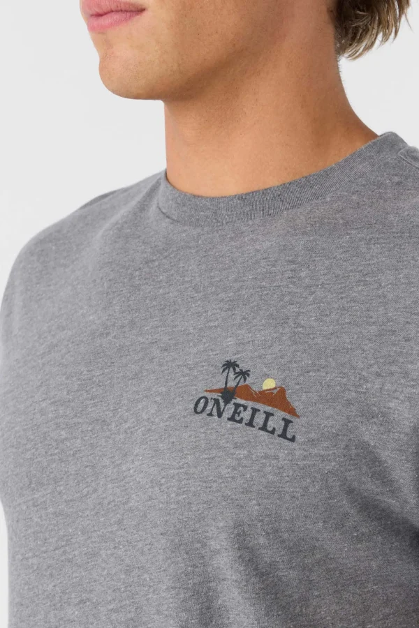 O’Neill Tees^DOS HERMANOS STANDARD FIT TEE HEATHER GREY