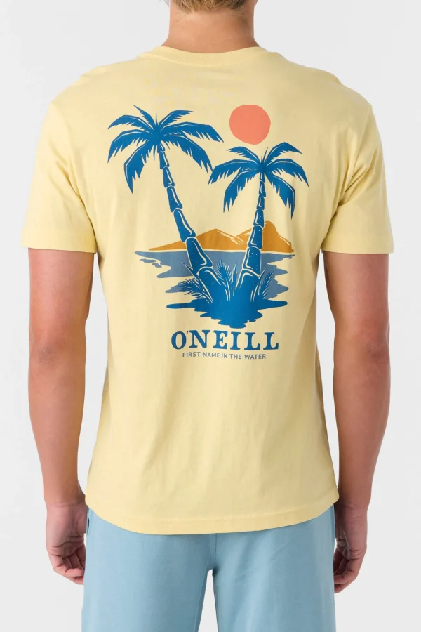 O’Neill Tees^DOS HERMANOS STANDARD FIT TEE LEMON GRASS