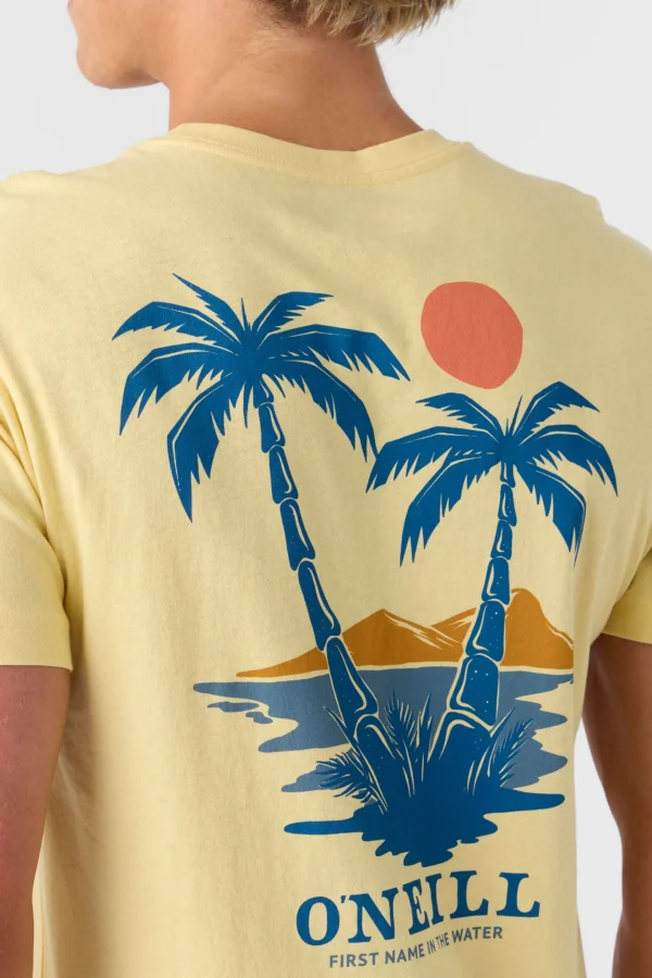 O’Neill Tees^DOS HERMANOS STANDARD FIT TEE LEMON GRASS