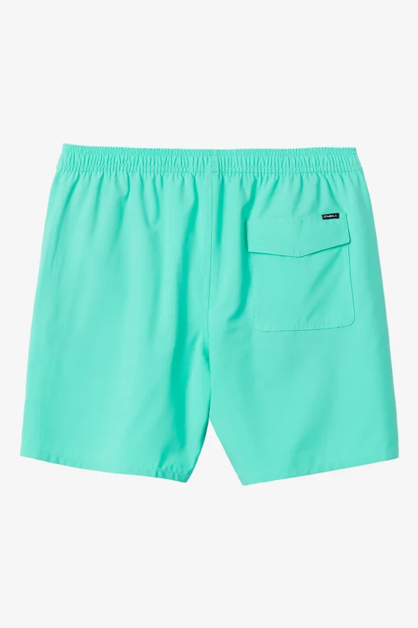 O’Neill Side Pockets | Swim Trunks^LENNOX HERMOSA SOLID ELASTIC WAIST 17" SWIM TRUNKS AQUA