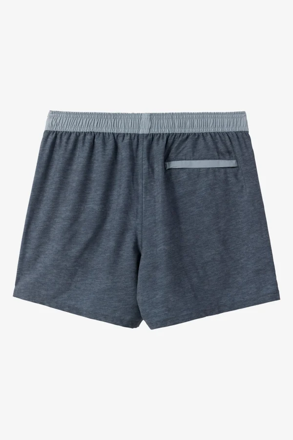 O’Neill Shorts^PERFORM LINED 15" ATHLETIC SHORTS HEATHER GRAPHITE