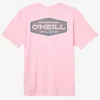 O’Neill Tees^SPARE PARTS TEE HAZE