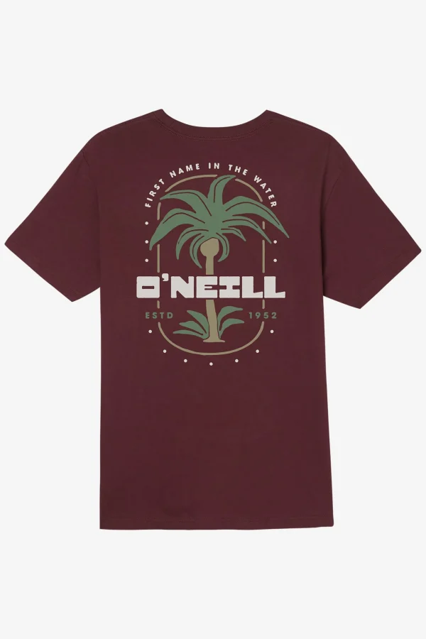 O’Neill Tees^STRAINDS STANDARD FIT TEE BURGUNDY