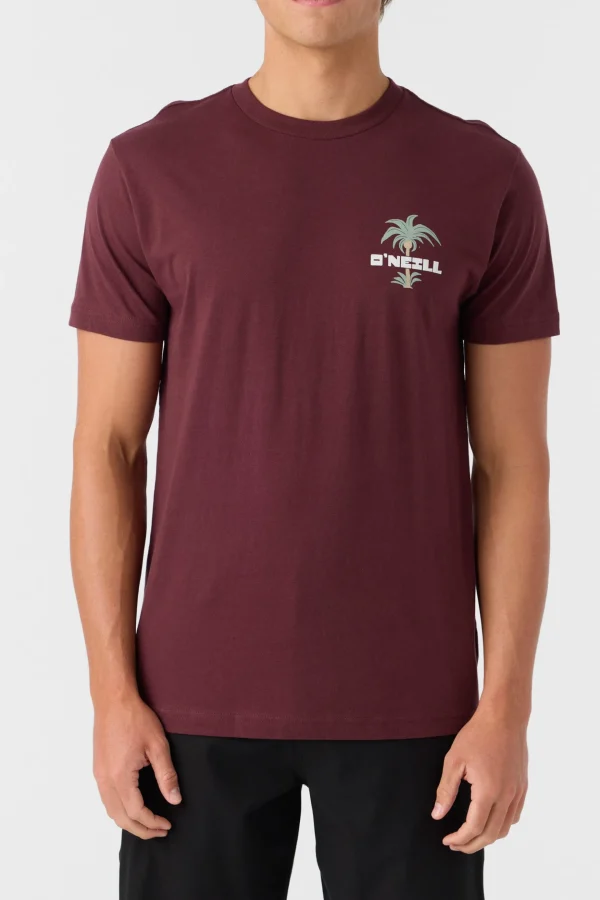 O’Neill Tees^STRAINDS STANDARD FIT TEE BURGUNDY