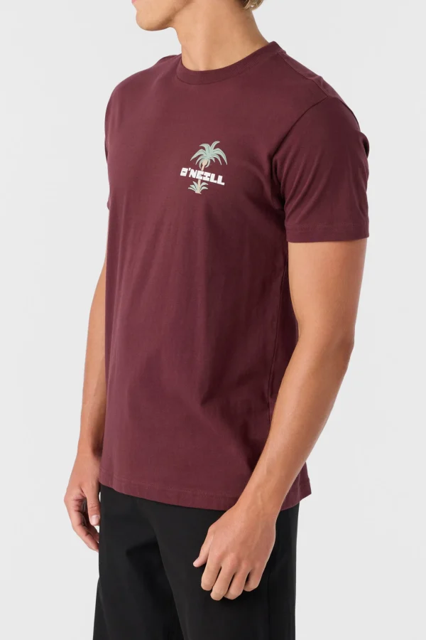 O’Neill Tees^STRAINDS STANDARD FIT TEE BURGUNDY