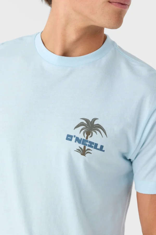 O’Neill Tees^STRAINDS STANDARD FIT TEE SKY BLUE HEATHER