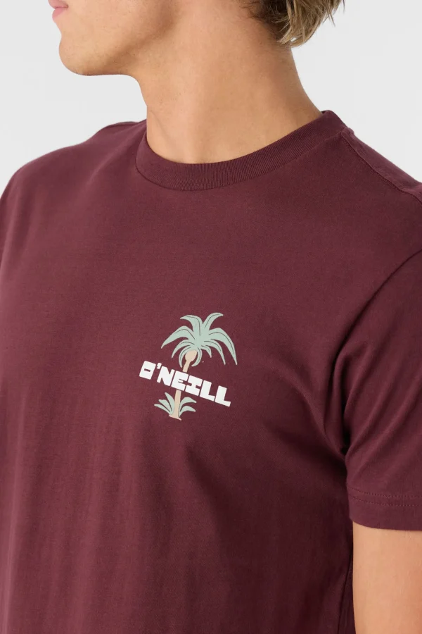 O’Neill Tees^STRAINDS STANDARD FIT TEE BURGUNDY