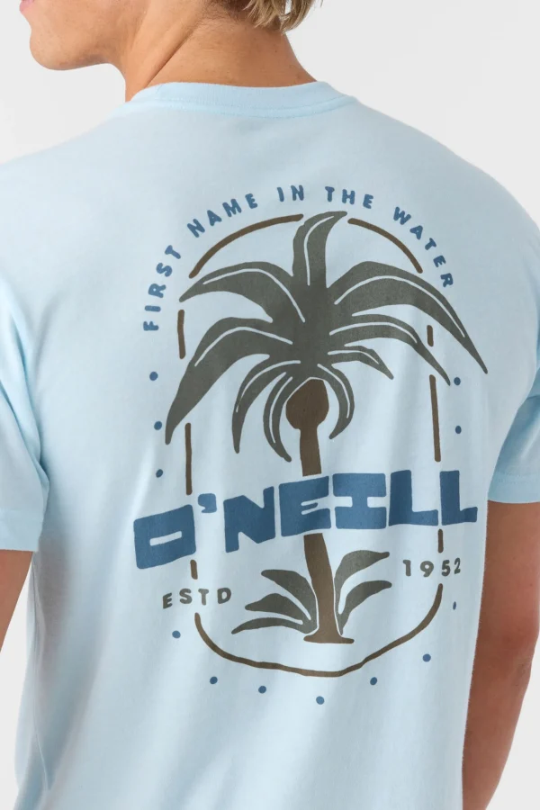 O’Neill Tees^STRAINDS STANDARD FIT TEE SKY BLUE HEATHER