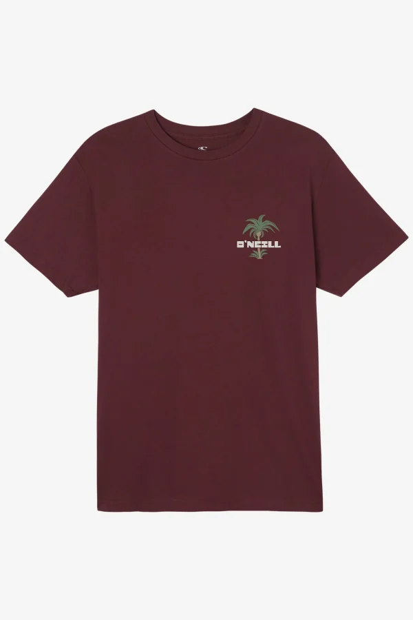 O’Neill Tees^STRAINDS STANDARD FIT TEE BURGUNDY